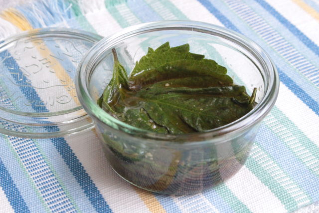 たたききゅうりとみょうがと紫蘇のやみつき漬け