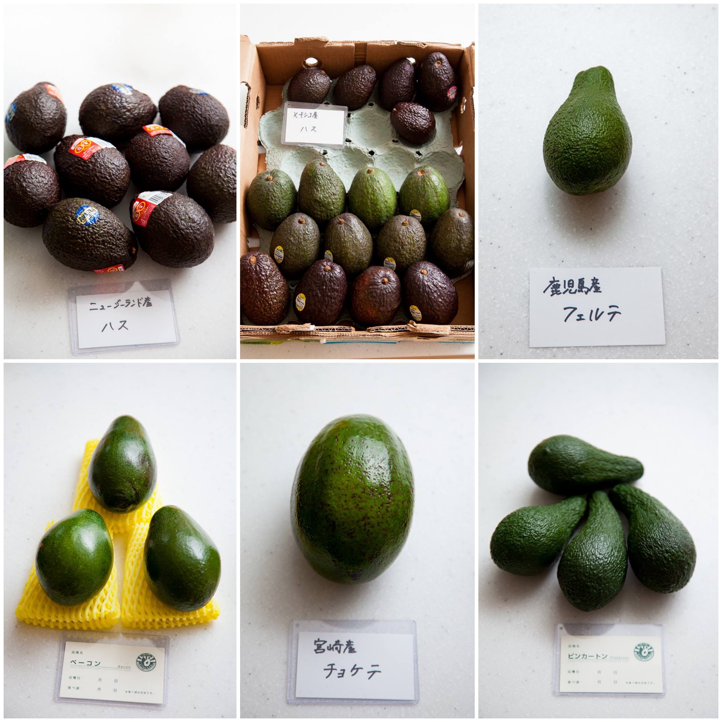 おいしいアボカドの見分け方、4つのポイント - ウェザーニュース