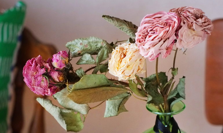 バラのドライフラワーの作り方プロのお花屋さんが厳選!フジテレビフラワーネット