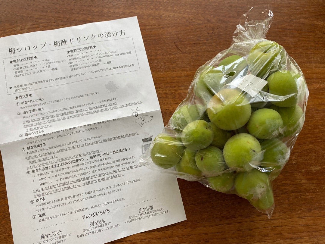 ジップロックで簡単に出来る！ 初心者でも失敗無し♪ 柔らかい赤シソの梅干しの作り方梅干しの作り方 赤紫蘇 梅仕事うめぼし