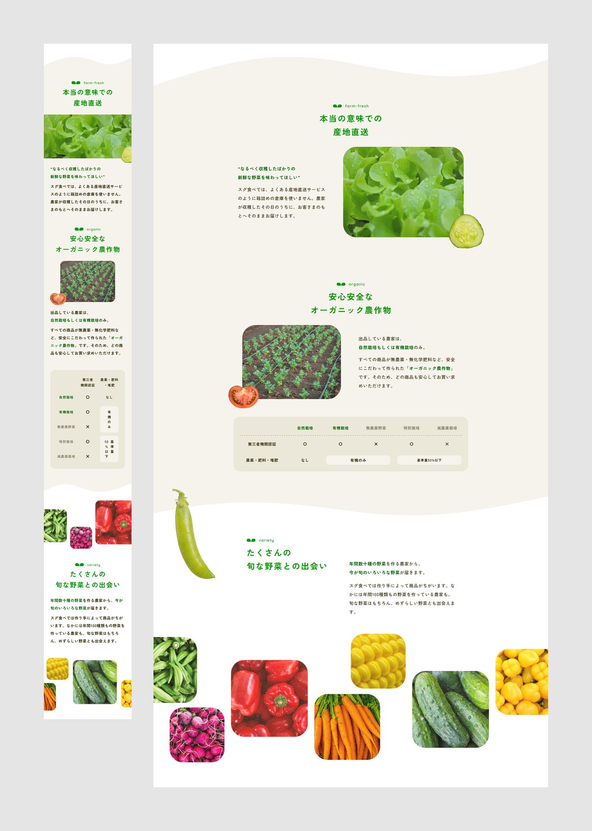 フジショーWeb Design on X: 