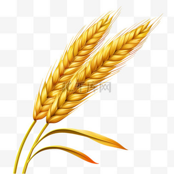 热门CHAUMET黄金麦穗系列珠宝大全 尚美巴黎黄金麦穗系列珠宝官网价格_图片_怎么样_珠宝之家_腕表之家触屏版