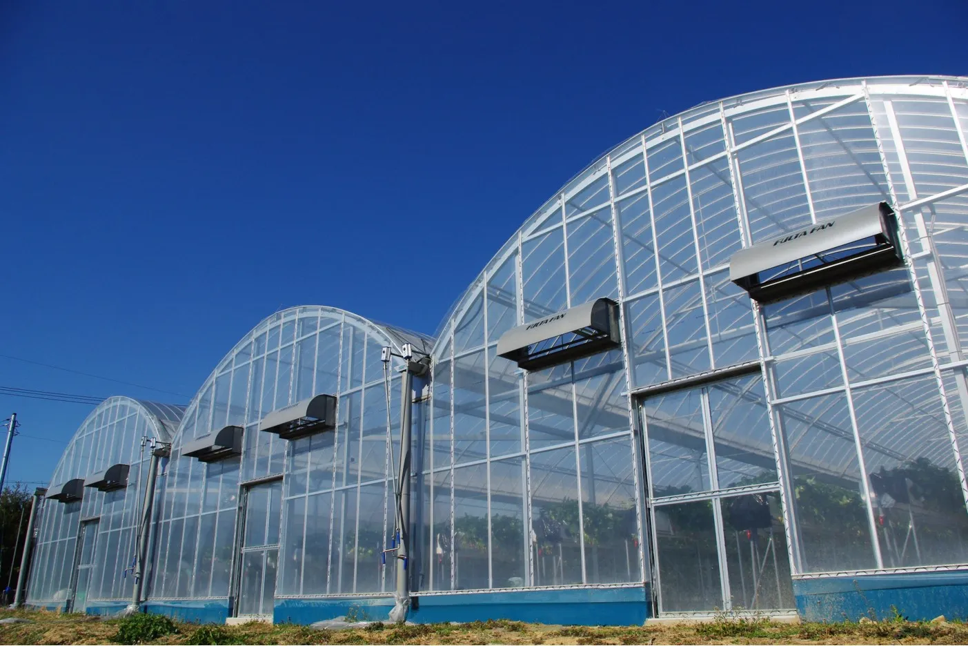 イチゴ農園が考えた、燃料代高騰に振り回されないための3つの作戦マイナビ農業