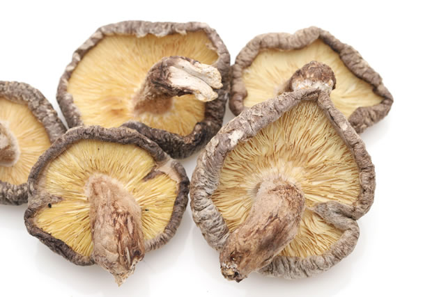 美味しく食べて健康に！ │ 株式会社 丸晶