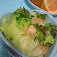 九州を味わう ゆずドレッシング商品情報キユーピ