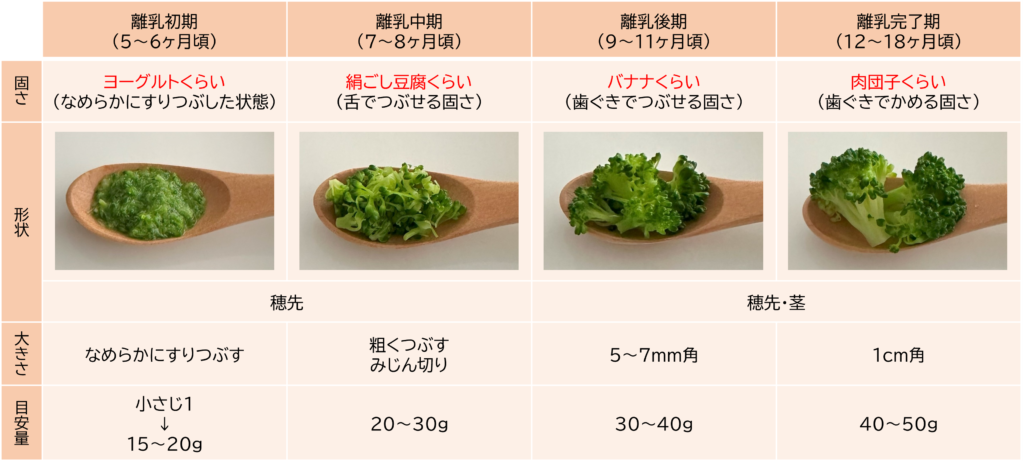 ブロッコリー・カリフラワー離乳食のための調理ポイントパルシステムの育児情報サイト～子育て123～