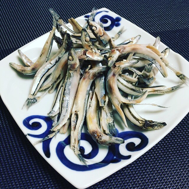 キビナゴ 黍女子 魚の生態・海水編房総爆釣通信