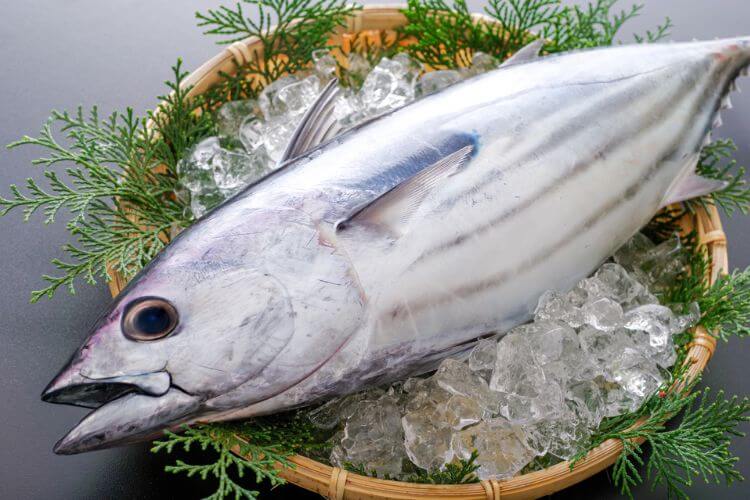 保存版 旬のおさかなカレンダー:魚のプロが教える12ヶ月の美味しい魚選び – 飲食店向け業務用仕入サイト - 居酒屋応援隊