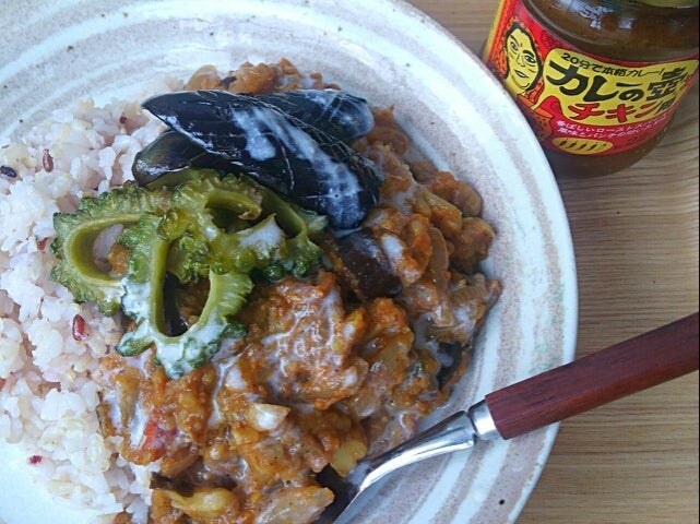 カレーの壺ペーストを使ったレシピ第３世界ショップスパイスカレーからおかずまで