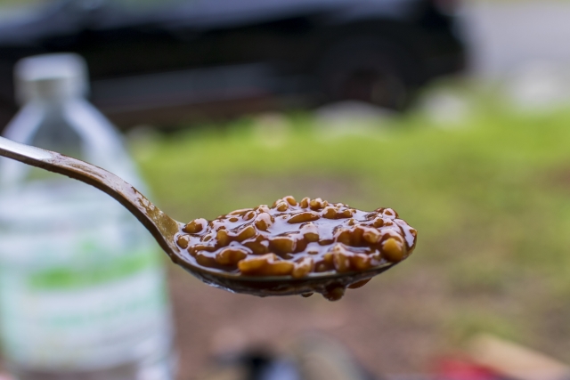 ハヤシライス不足時の救世主！家庭で使えるルーの代用テクニックとレシピ色々情報メモ