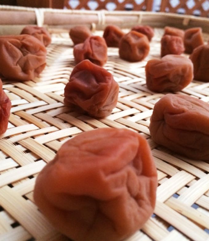 甘い梅干しの作り方とカビない方法！ 重石なし！ジップロックでできちゃう？簡単な漬け方 絵本ラボ