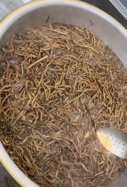 色んな野菜で作るナムル - ごはん便り