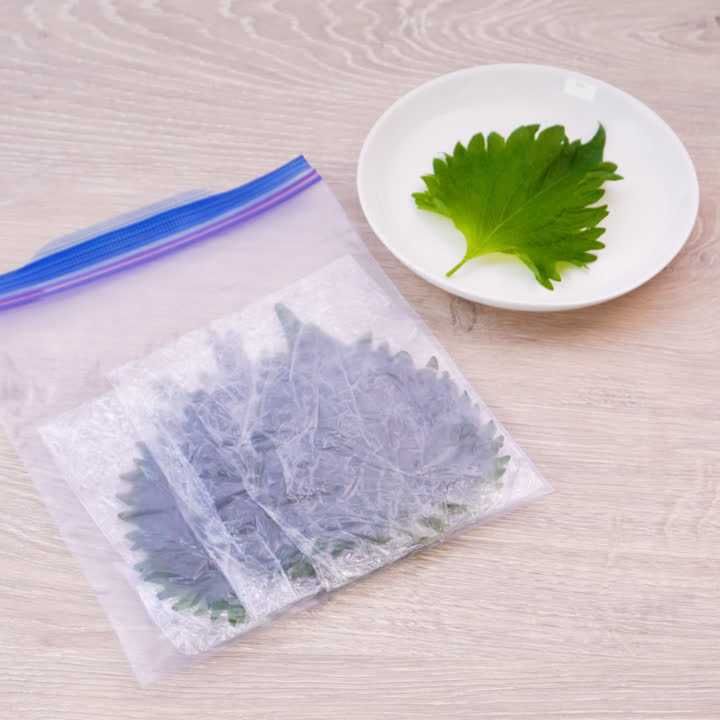 青じそ野菜保存のポイント保存テクニック旭化成ホームプロダクツ