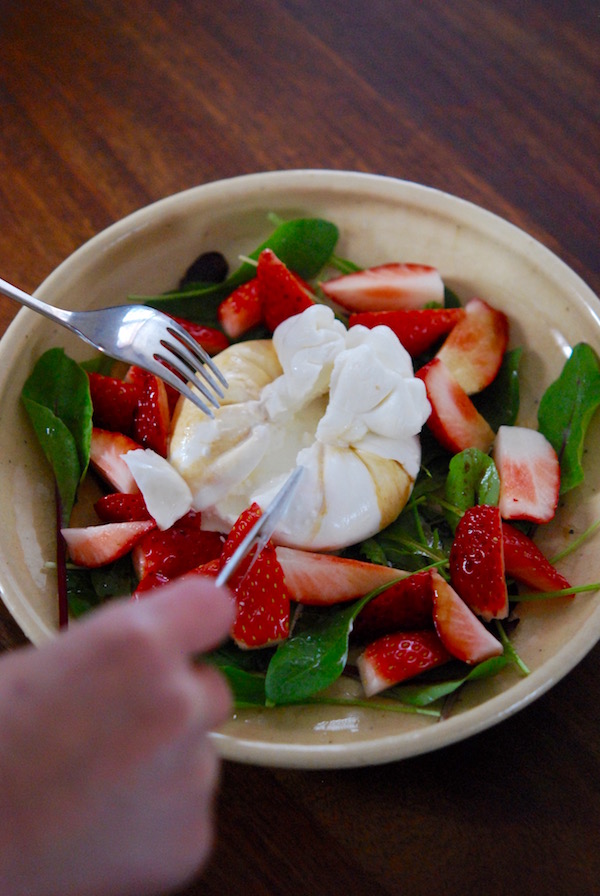 ブラータチーズのレシピ - レシピけんさく