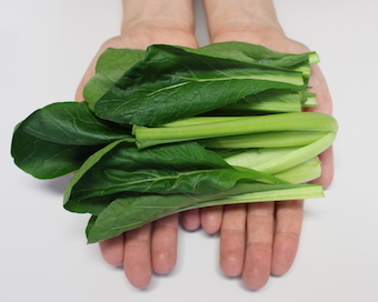 高タンパクで低脂肪！ちくわと小松菜のごまみそ炒め農産物直売所 めぐみの郷