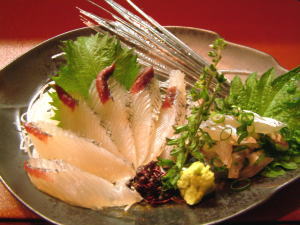 トビウオ とりネット 鳥取県公式サイト