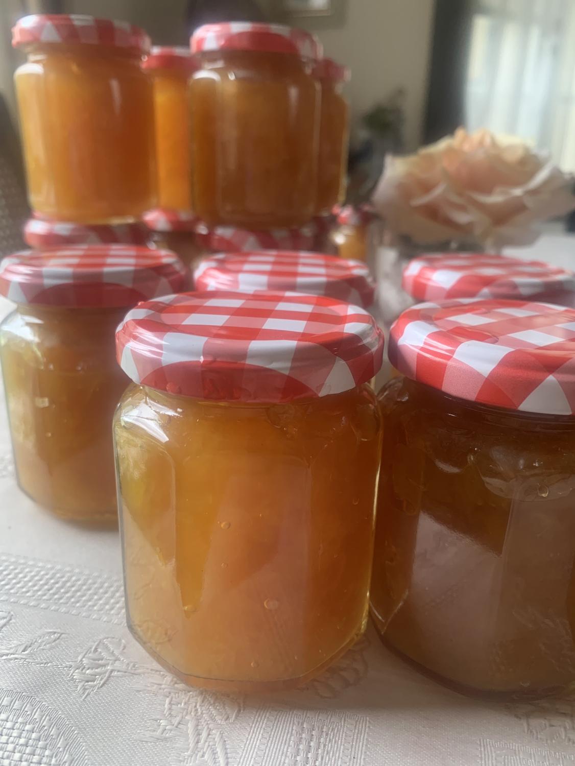 夏柑日和、夏みかんジャム – バックシュトゥーベ イマヤ