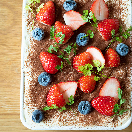 ティラミスケーキ🍫🌱