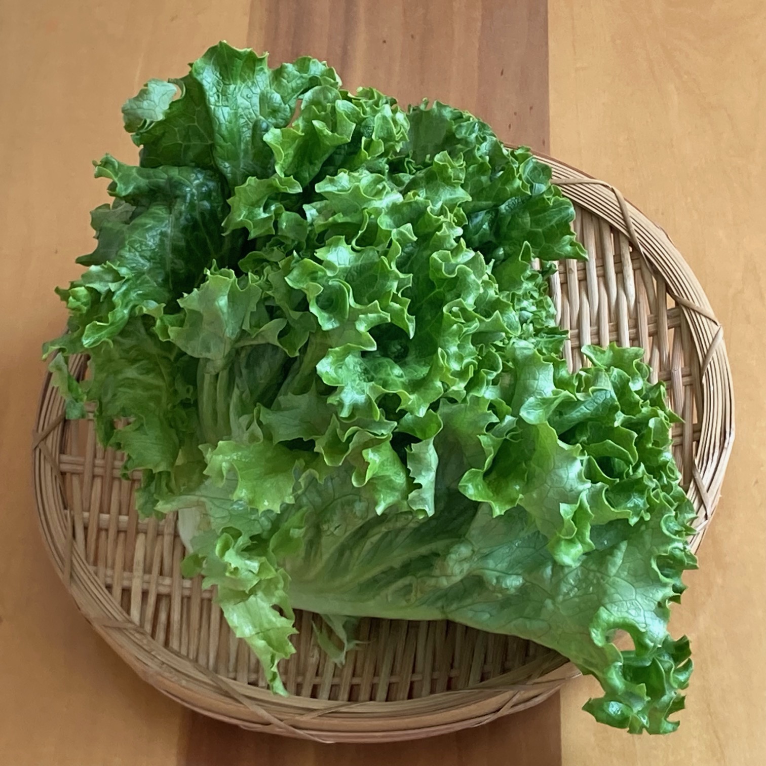 リーフレタス 野菜の食べ方＆調理方法 by食育マルシェおうち便