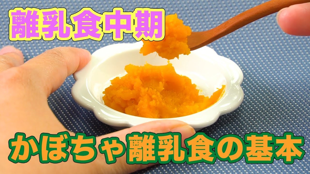 離乳食中期にもかぼちゃが大活躍！その魅力とおすすめレシピを紹介ママびよりウェブ