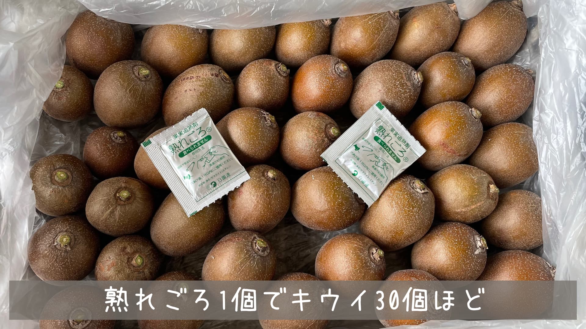 キウイ収穫時期の見極め方：旬を逃さず美味しく味わう