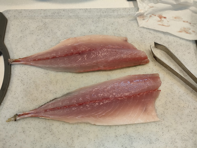 あにさきす・アニサキス・Anisakis simplexブログ酢飯屋 - 文京区水道、江戸川橋にある寿司、カフェ、ギャラリーの複合店