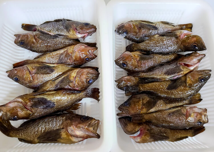 メバル 唐揚げ レシピTikTok