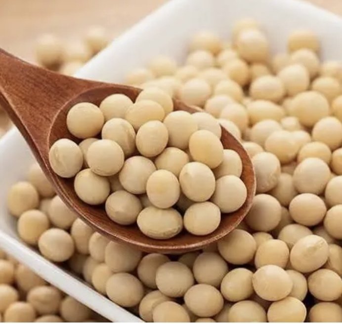 食のトリビア 食材の別名特集！！森のバターに畑のミルク。海の牧草！？逸品グルメ-IPPIN