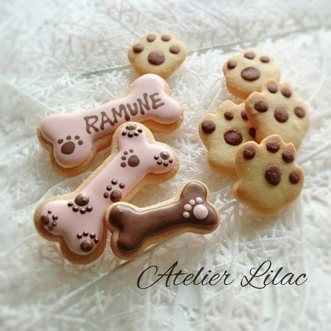 楽天市場もふもふトイプードルver カラフルで可愛いアイシングクッキー缶 17枚 68g トイプードル 犬好き プードル ギフト プレゼントプチギフト お菓子 クッキー 誕生日 お祝い かわいい カラフル 飾り ケーキトッパー 手土産 自分用 子供 大人 愛犬 癒し SNS映え