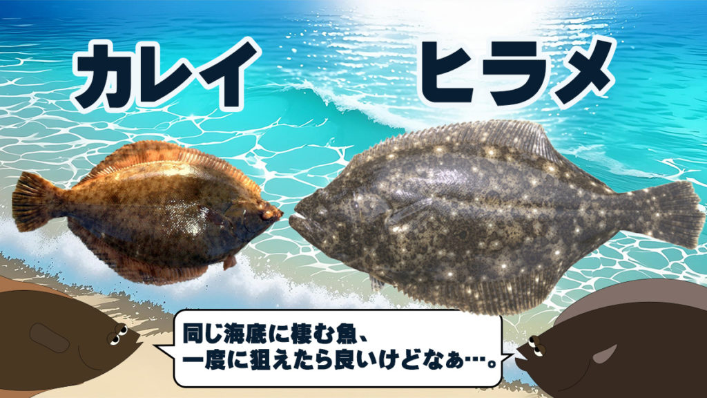 図鑑 ヒラメ・カレイ類岩手県水産技術センターWeb