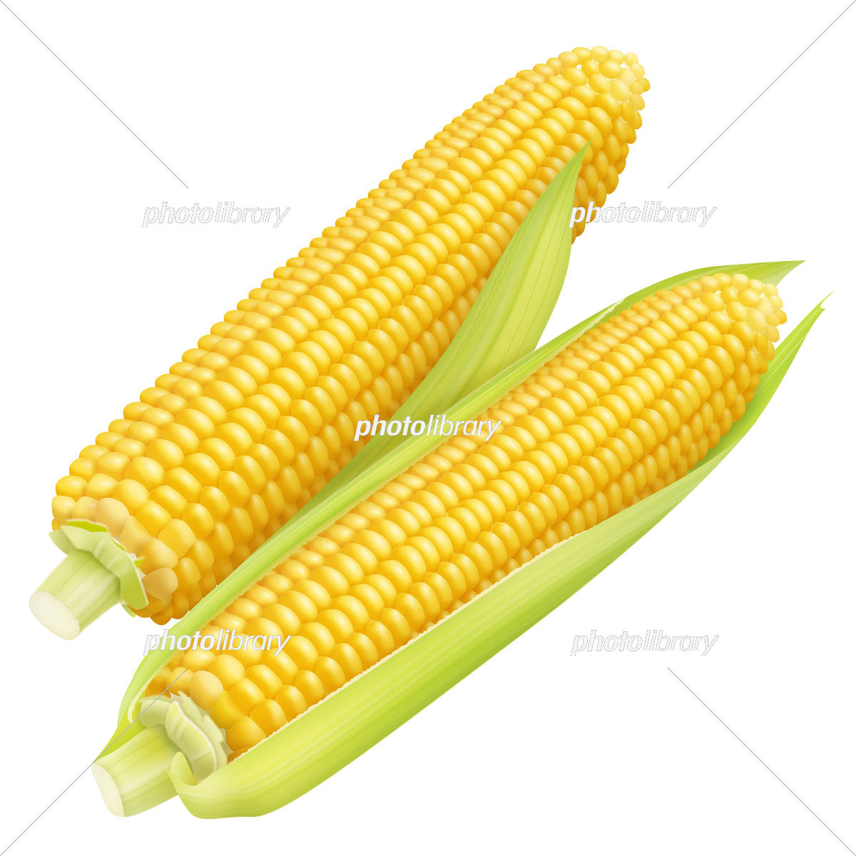 畑のスイーツ 甘くて香ばしいトウモロコシ特集&レシピ紹介かごしまぐるりかごしまぐるり よみもの