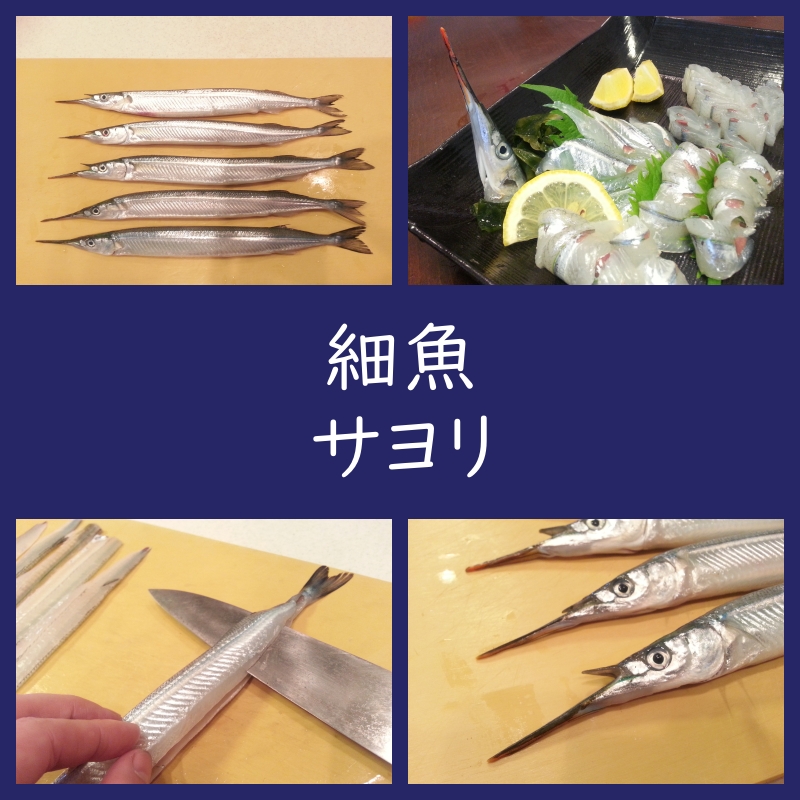 さより 細魚 旬の時期・特徴・栄養素・英語表記まで解説