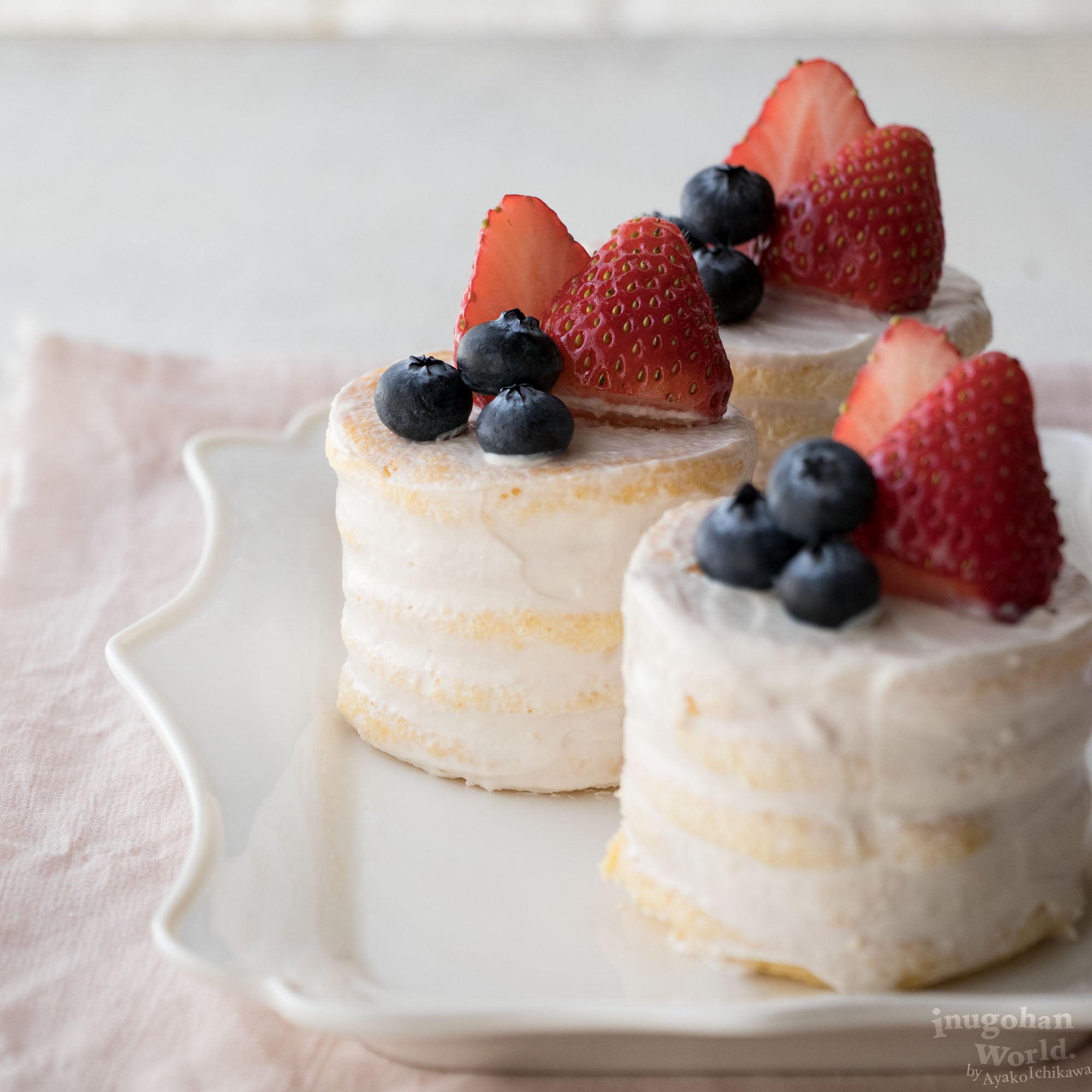 犬用 わんこのお花ケーキ☆米粉スポンジ 名入れわんこケーキジョイアCake.jp