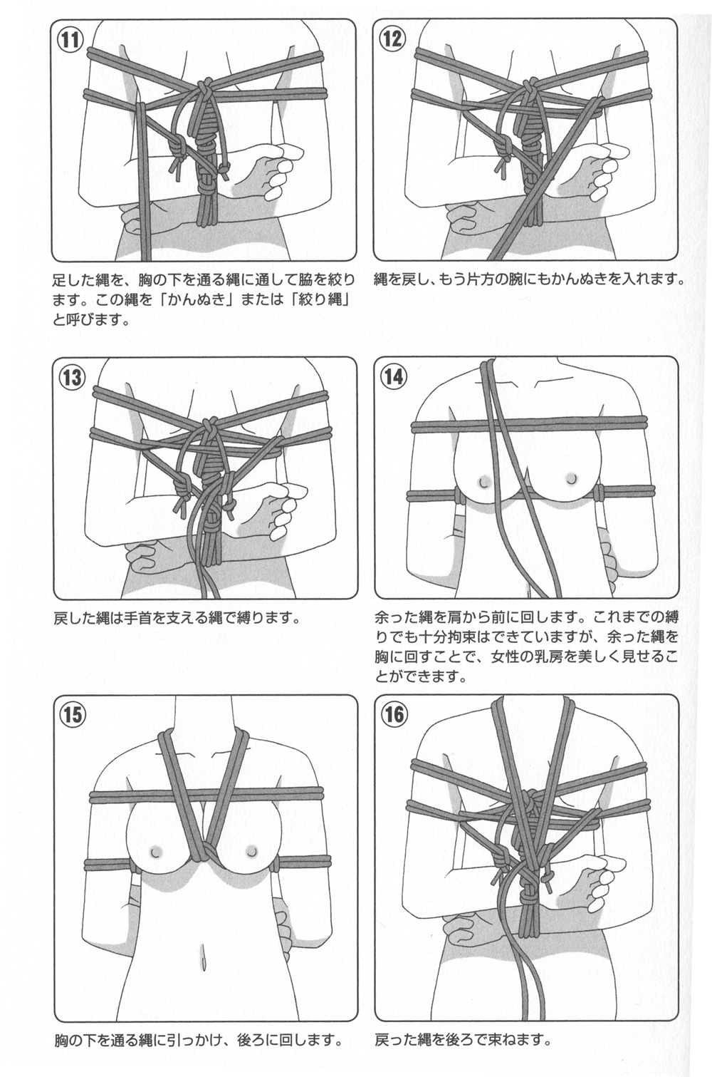 究極の美】胸縛り（乳縛り）の魅力と乳房緊縛グッズ10選 | STERON