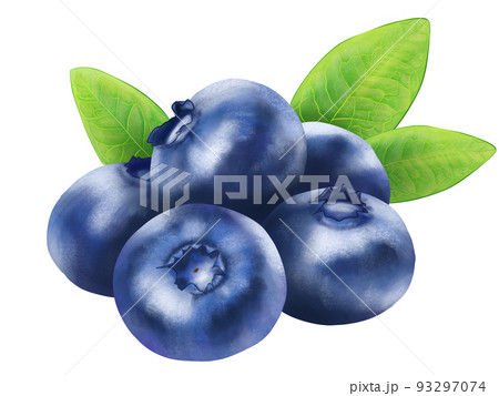 大きなブルーベリーは青い食べ物を接写イラスト素材透過、PNGフリー画像ダウンロード - Pngtree