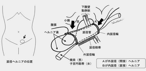 奈良登美ヶ丘 きむら整形外科の対象症状