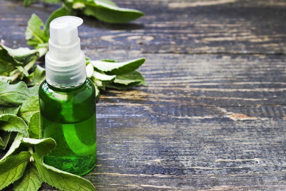 カメムシにミントは効かない？ハッカ油を使ったスプレーの作り方を解説 - くらしをアゲる応援部- 株式会社ジー・ムーブ