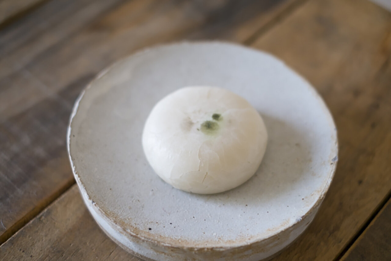 その症状って菌核病? 野菜を腐らせる白い綿毛の正体とは!? 畑は小さな大自然vol.69 マイナビ農業