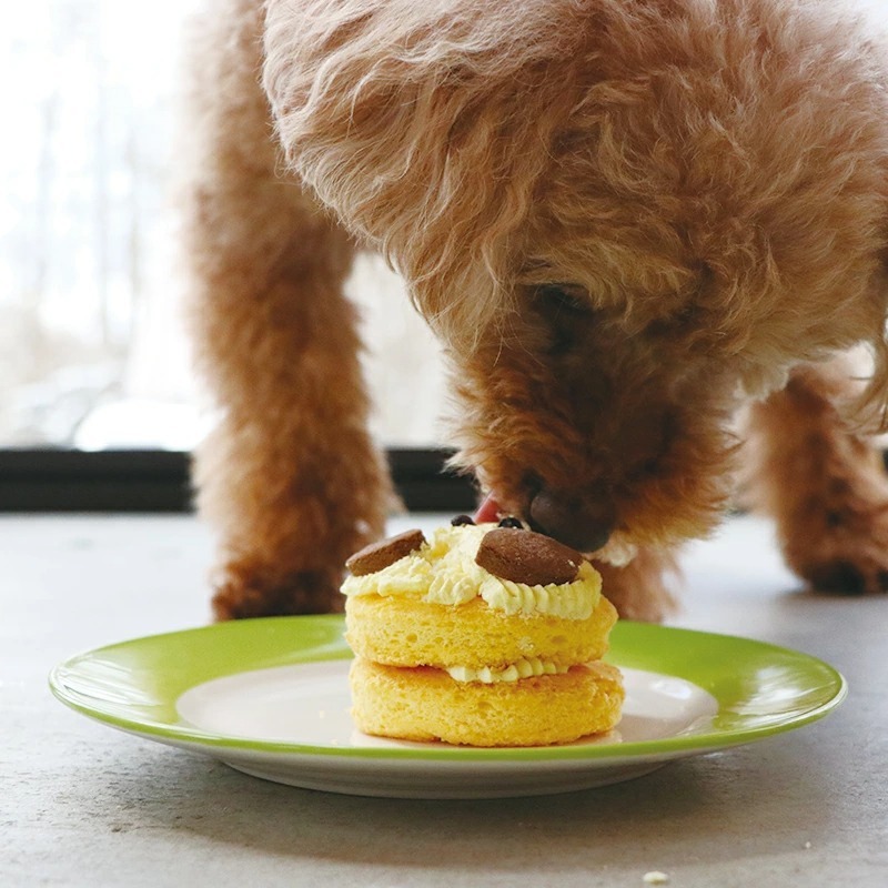 小麦粉不使用 犬用手作りおやつ ふわっふわ米粉のパンケーキ 手作りごはん 犬用デリカテッセン