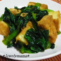 簡単!厚揚げを美味しく変身させる多彩な味付けレシピ集~チーズ入りも