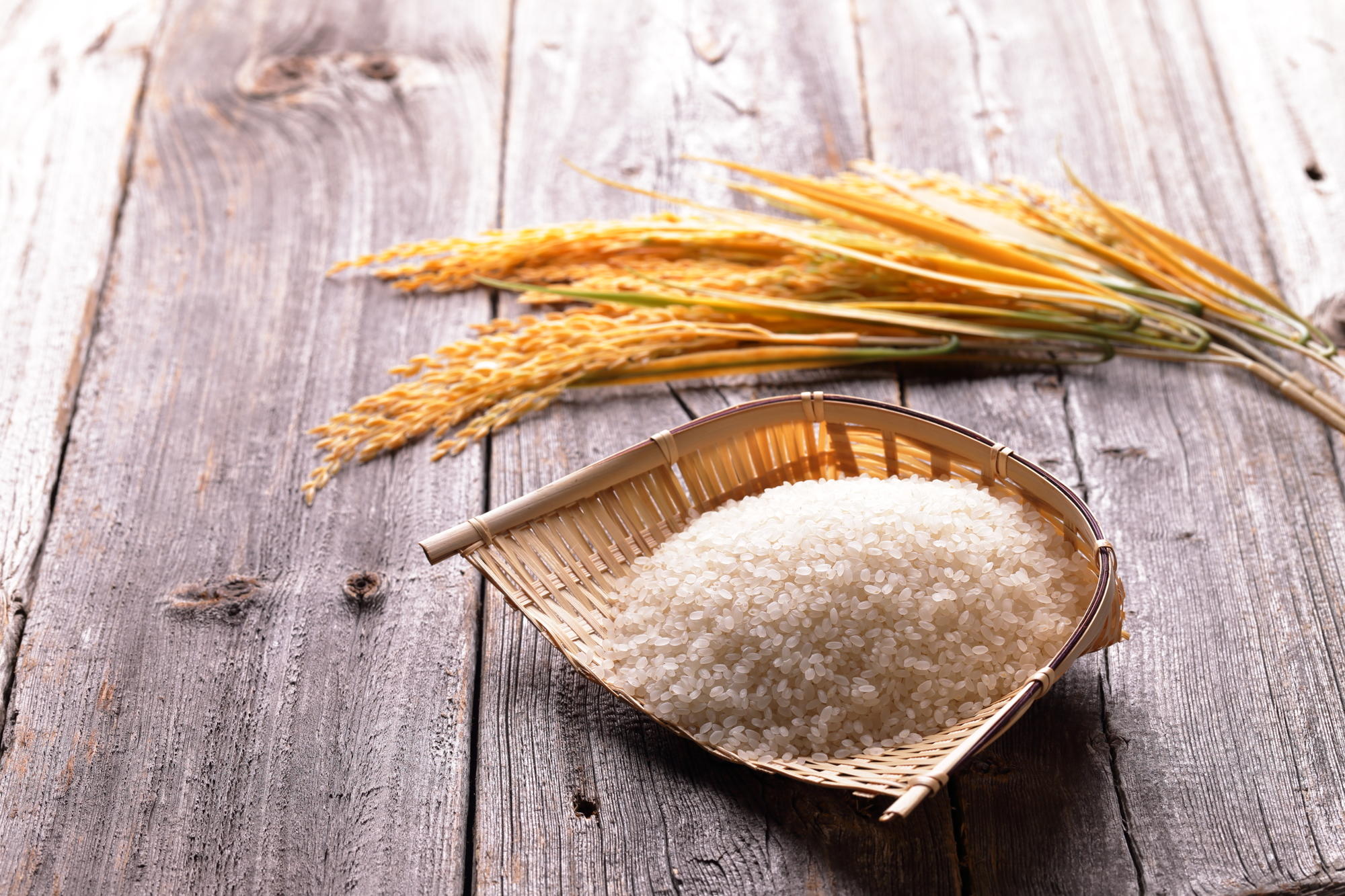 米屋の実験室 保存方法や期間で味は変わる?常温と冷蔵庫保存の米を食べ比べ旭川でお米の配達なら「北斗米のやぎぬま」へ