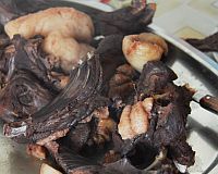 カナダ・モントリオールへ行く⑤～カナダの食べ物たち～海獣記