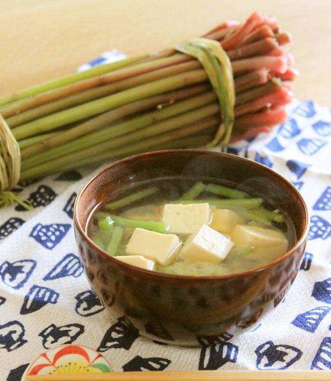 山菜山菜採り山菜料理山菜レシピミズみず赤ミズよし菜ウワバミソウみず菜春旬を食らえjapanesefood