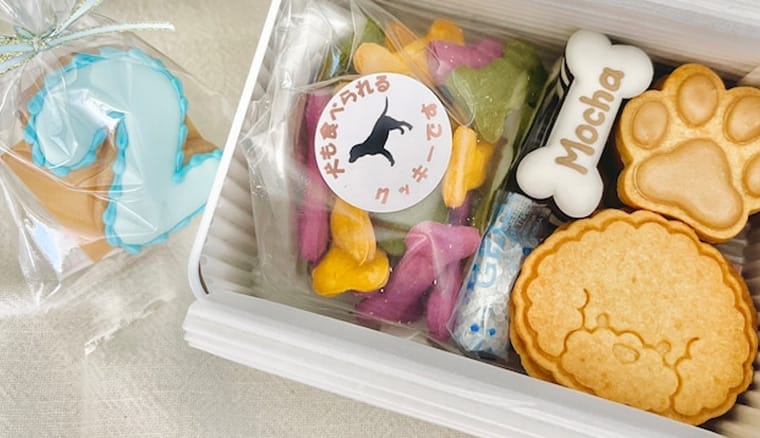 大好きな愛犬愛猫ちゃんに作ってあげたい♪「簡単おやつレシピ集」キナリノ