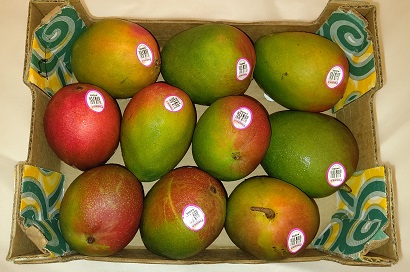 コストコでアップマンゴー発見！安い！！安すぎ！！: マンゴーお取り寄せ アップルマンゴーからスイーツまで大集合！