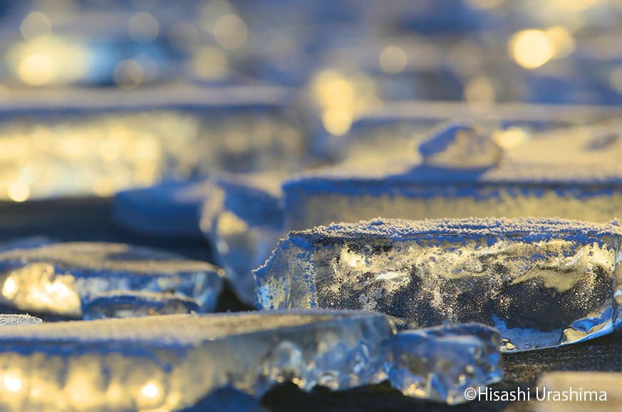 まるでクリスタル! 北海道・豊頃町の「ジュエリーアイス」 季節・暮らしの話題 2018年12月26日- 日本気象協会 tenki.jp