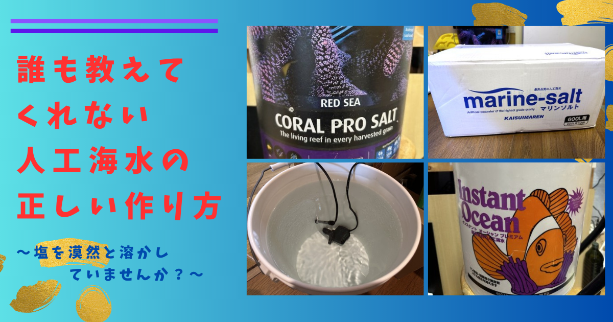 海水の作り方 ~人工海水で海水魚飼育を始めよう~アクアクリリウム