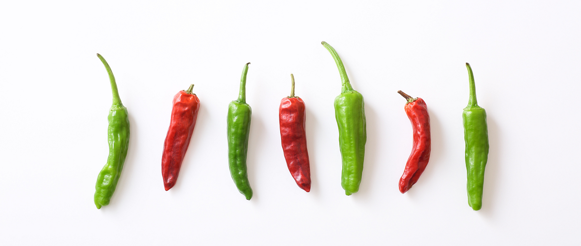 わかやま食材テロワール 「ししとう」和歌山県