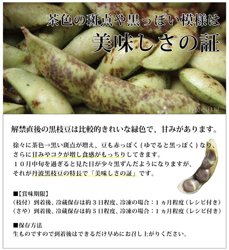 丹波篠山 黒大豆枝豆 鞘の黒い斑点 模様 は何？より美味しく食べるコツは？大畑大介商店