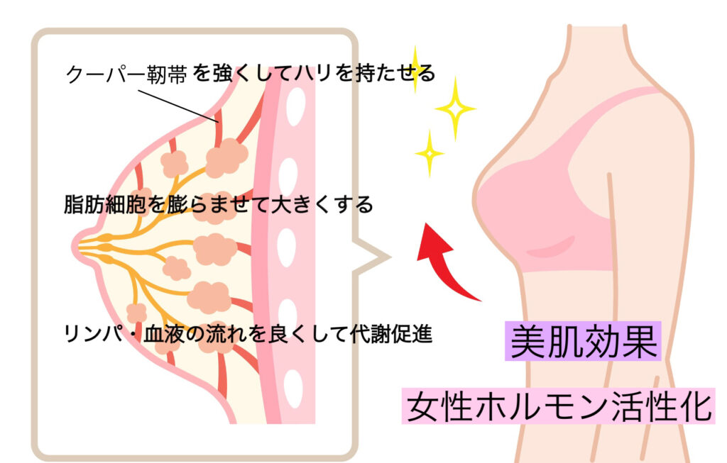 二重あご】原因は首のコリ？「胸鎖乳突筋」をほぐす2ステップの簡単セルフケア | ヨガジャーナルオンライン